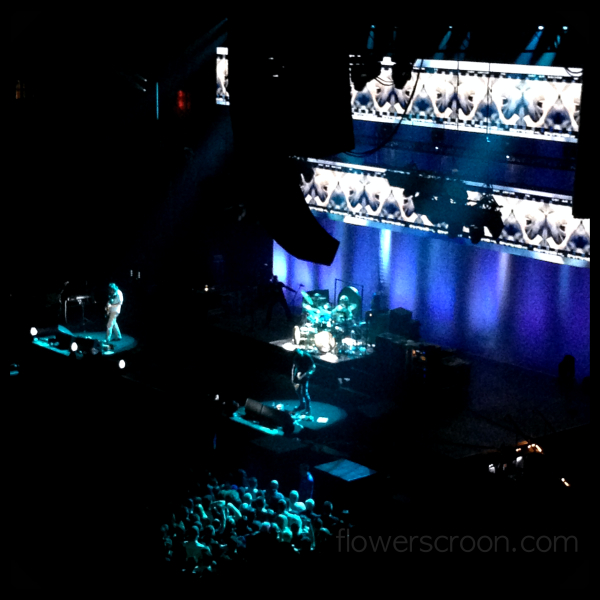Maynard in the shadows