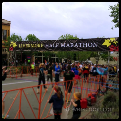 Spectator's view of the starting line