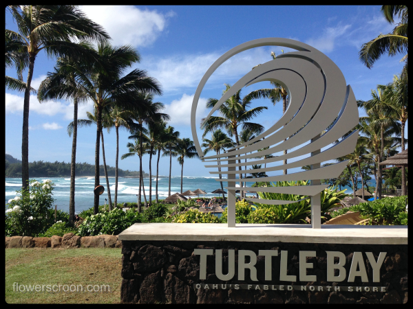 Turtle Bay