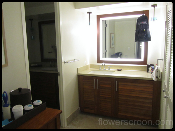 Sink with hidden fridge, closet to the right