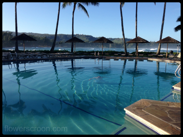 One of the pools