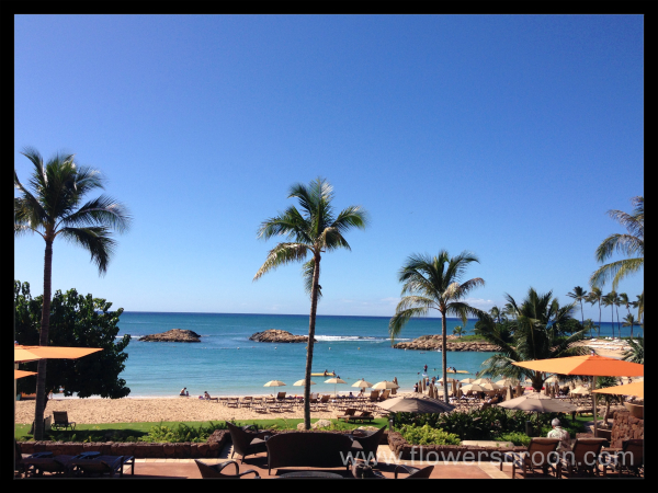 The view from our table at Ama Ama