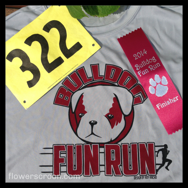 Tee, bib and ribbon