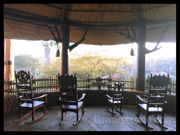 I love these rocking chairs!