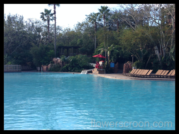 Big pool with fun waterslide