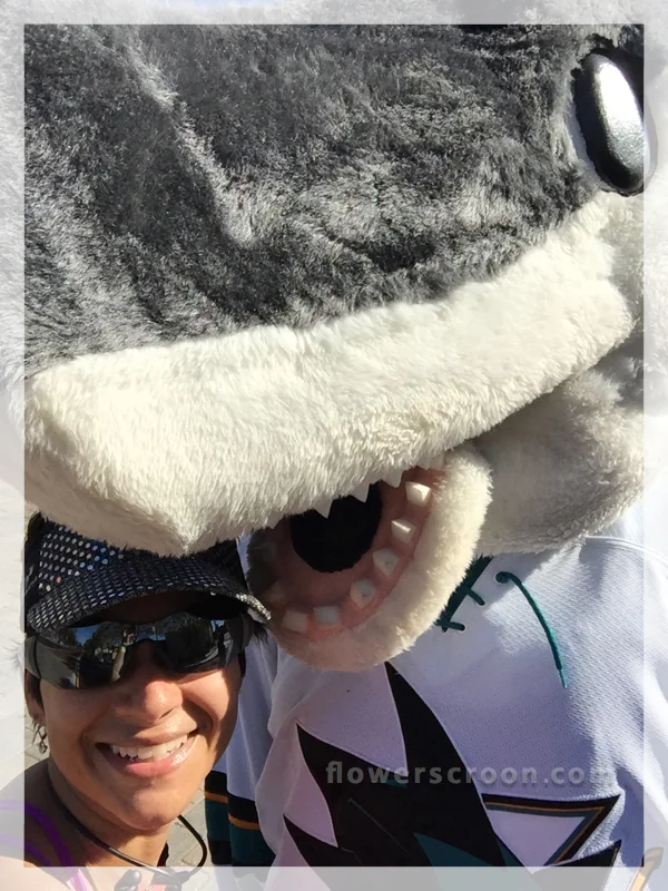 SJ Sharkie!