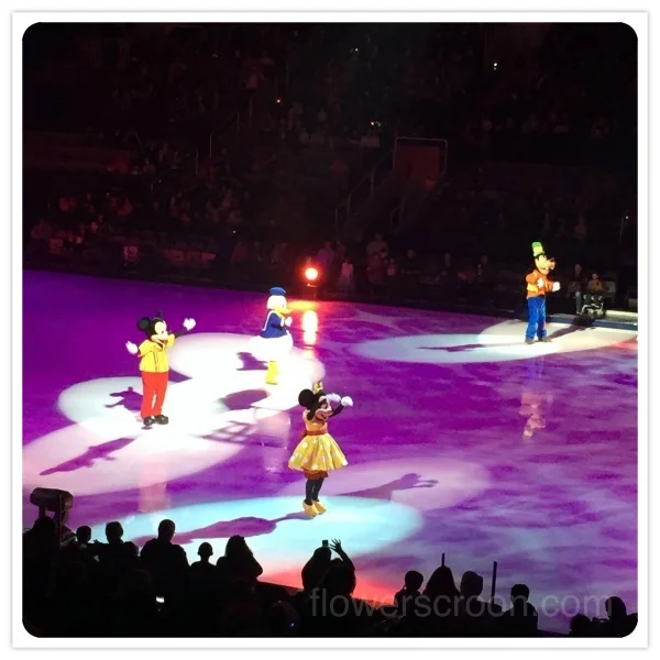 mickey and minnie.jpg