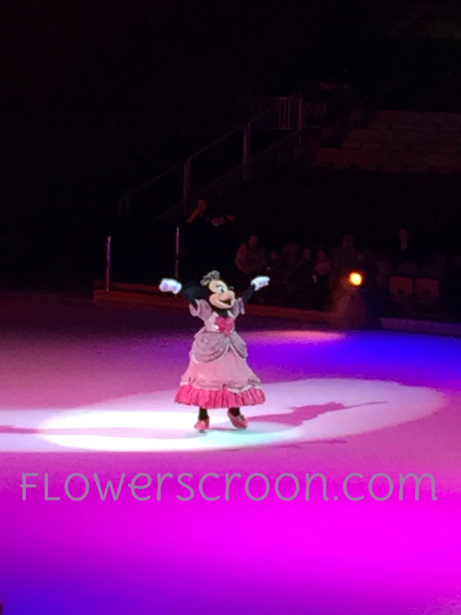 Minnie-Mouse-Ballgown-Costume.jpg