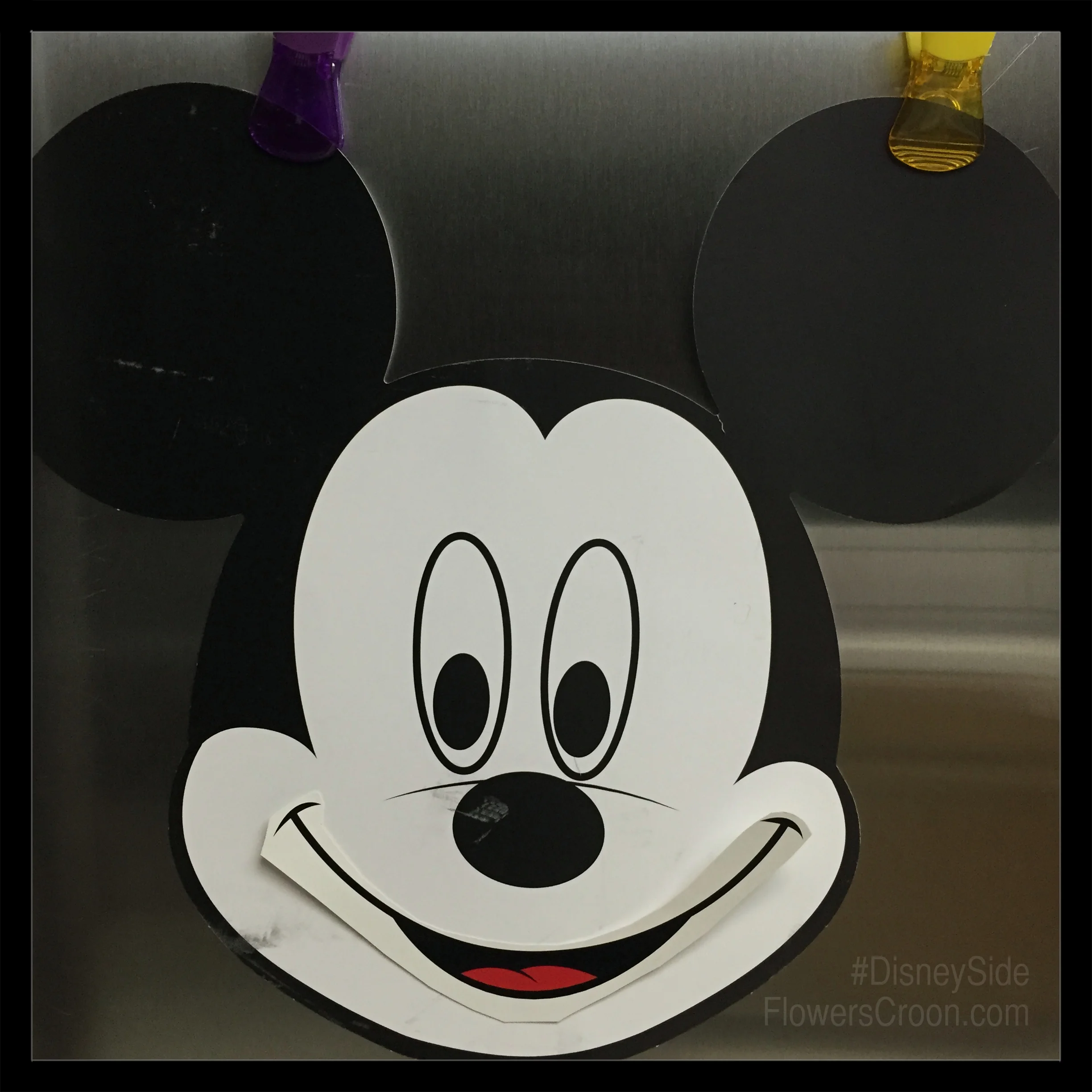 IMG_4251_Fotor.jpg