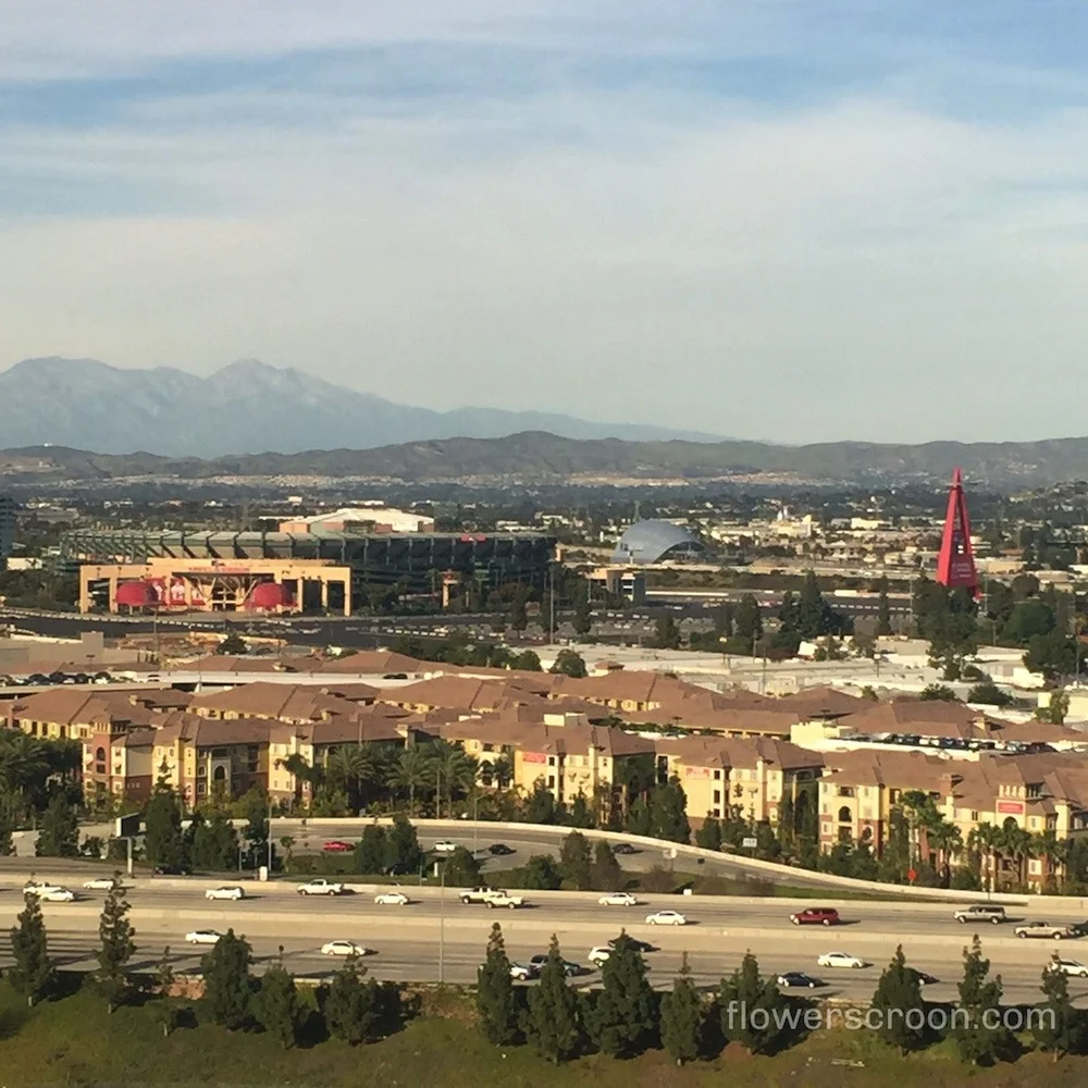 View from our room