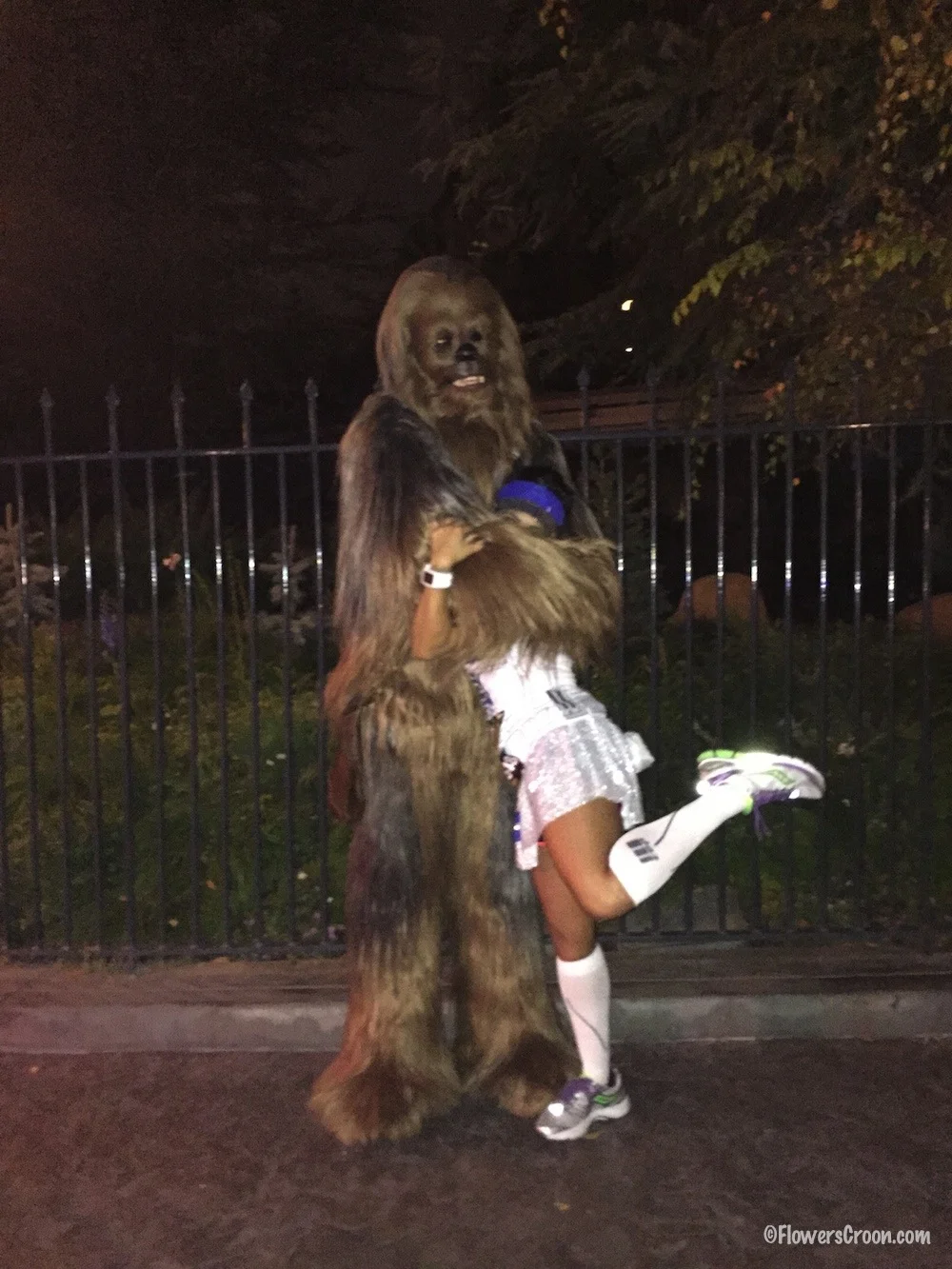 chewbacca-star-wars-half.jpg