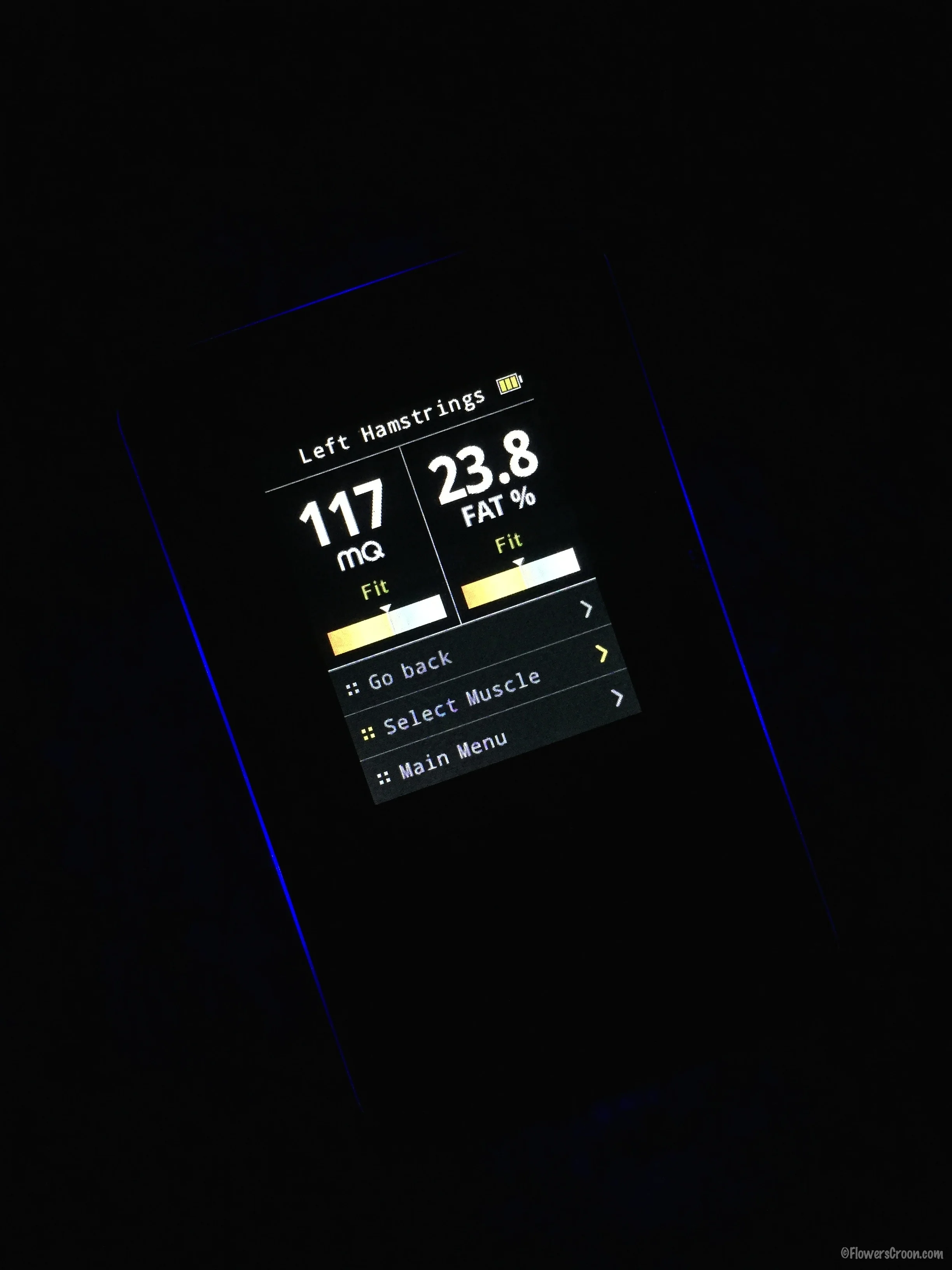 Skulpt Aim Muscle Reading
