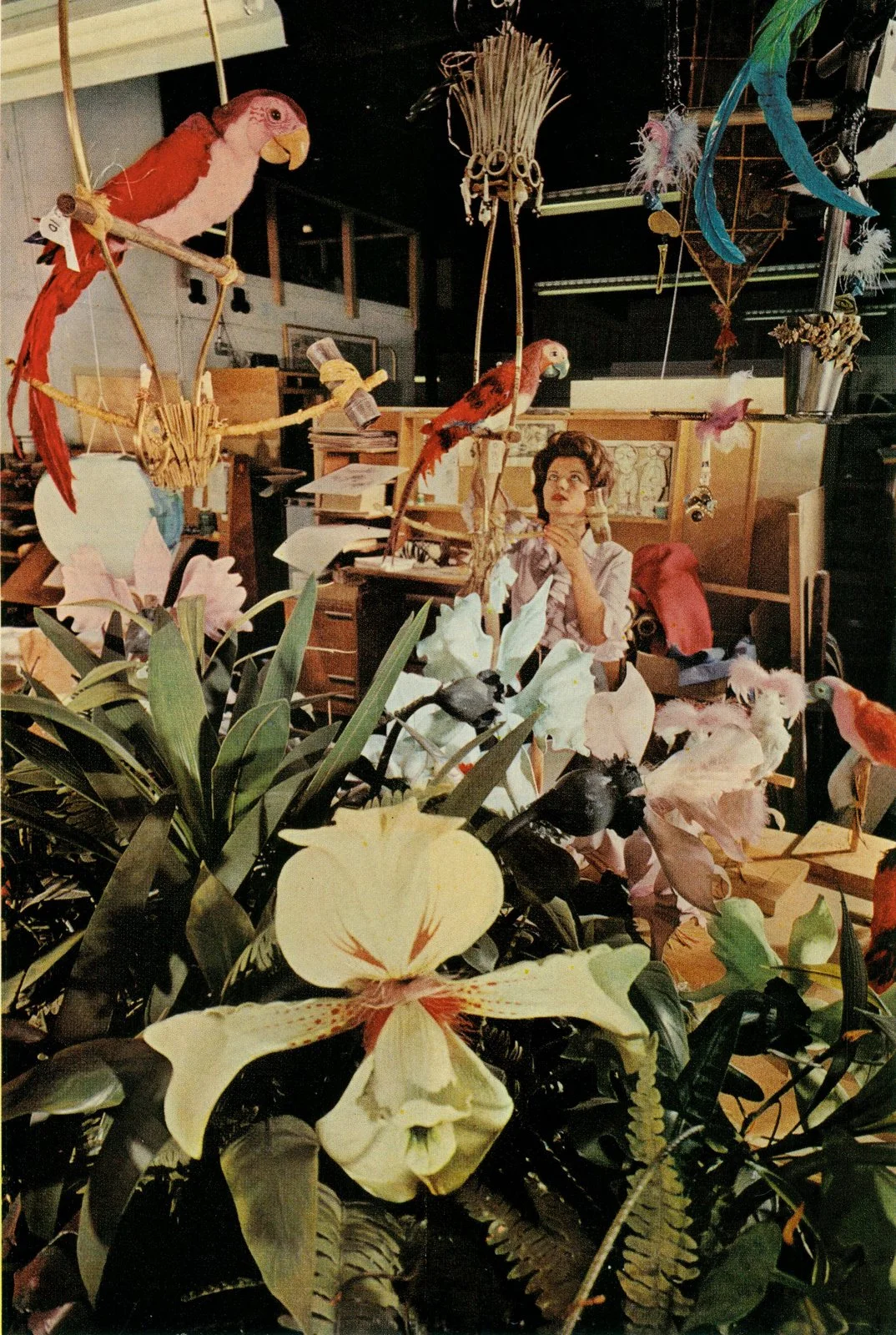 Machinist working on birds. Photo: National Geographic