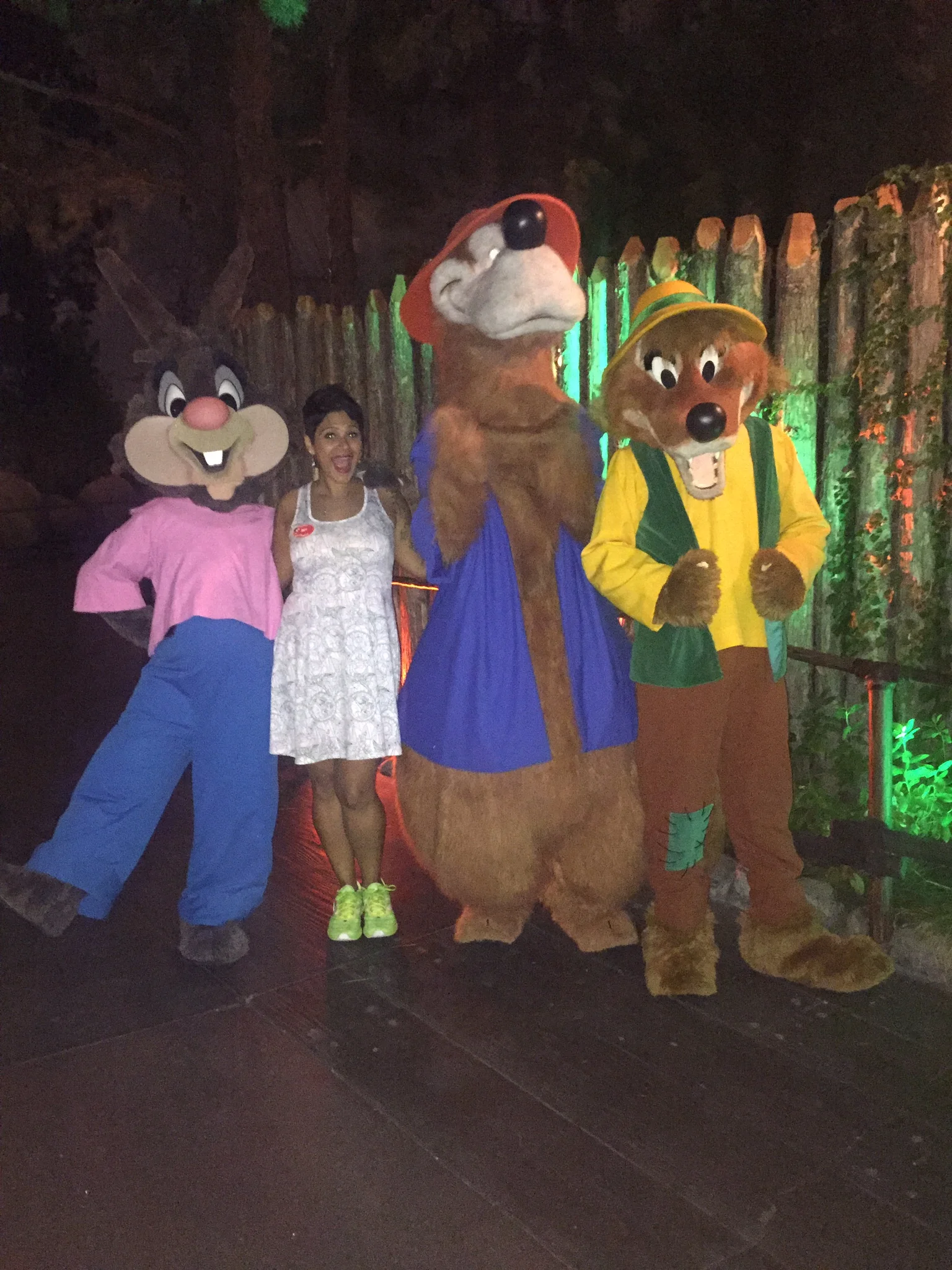 brer-fox-brer-bear-brer-rabbit-disneyland.jpg