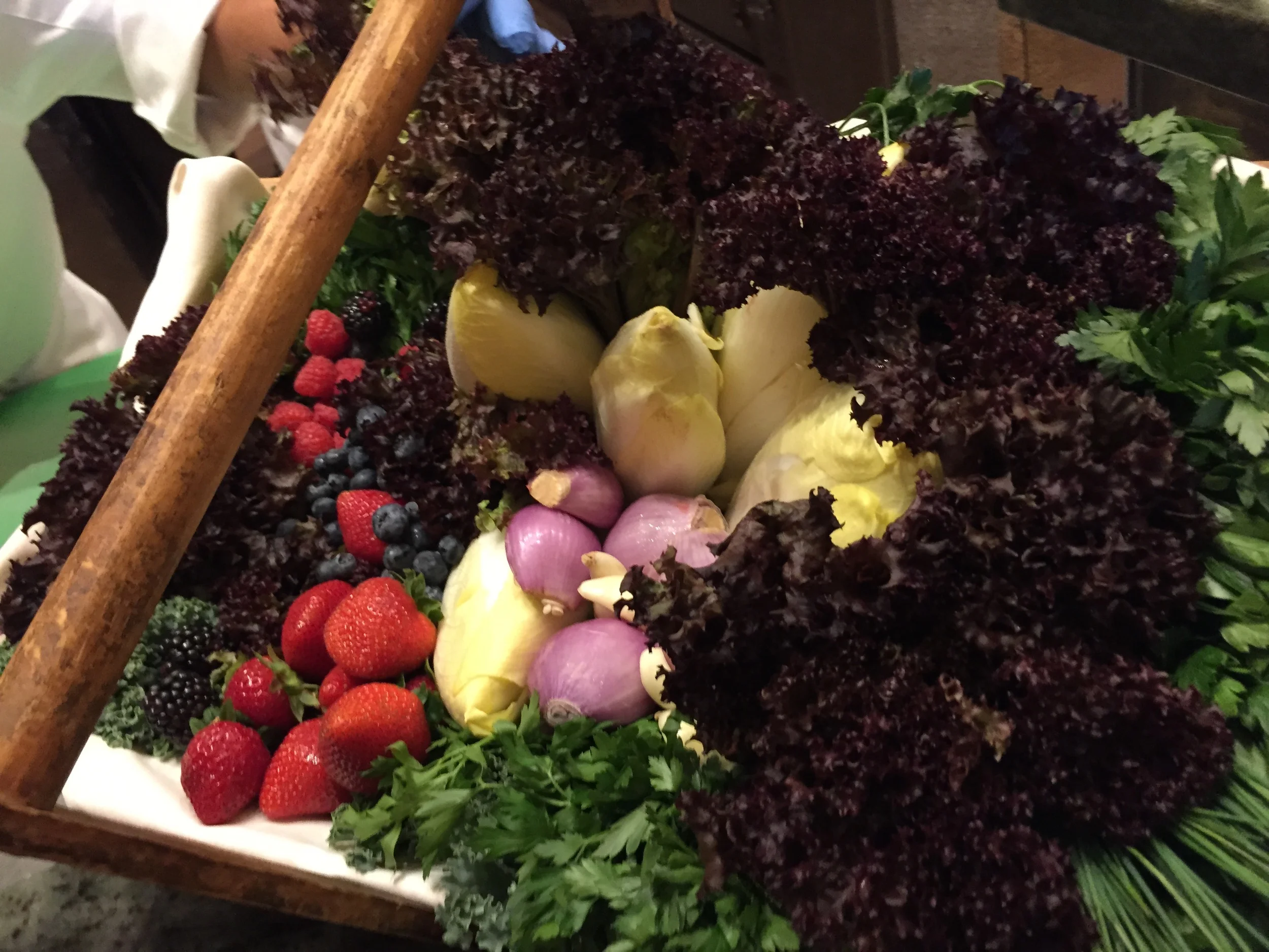 lola-rosa-salad-cigna.jpg