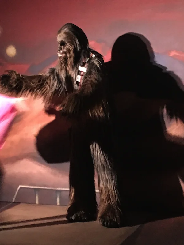 chewbacca-star-wars-5k.jpg