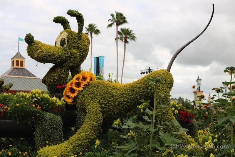 epcot-international-flower-and-garden-festival-pluto.jpg