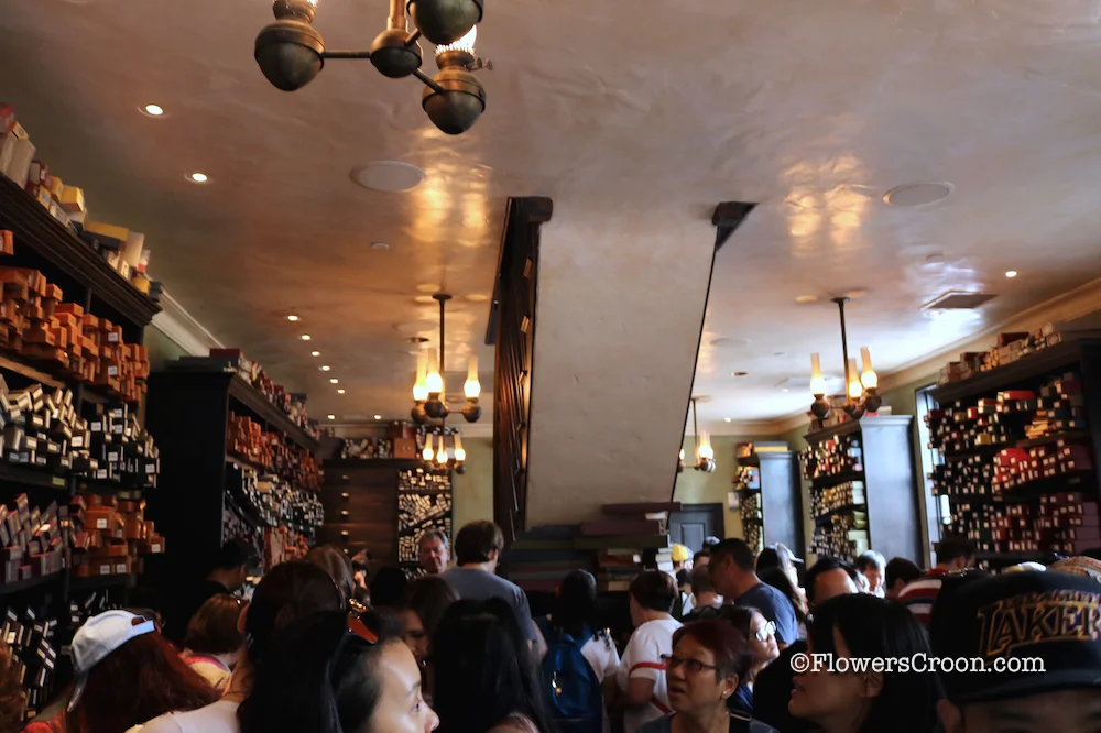 Ollivanders is full of wands and people