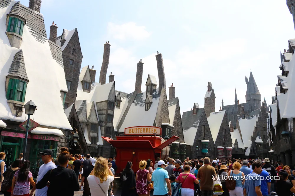 Muggles and Wizards enjoy Hogsmeade