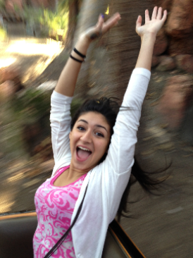 starlight-disneyland.png