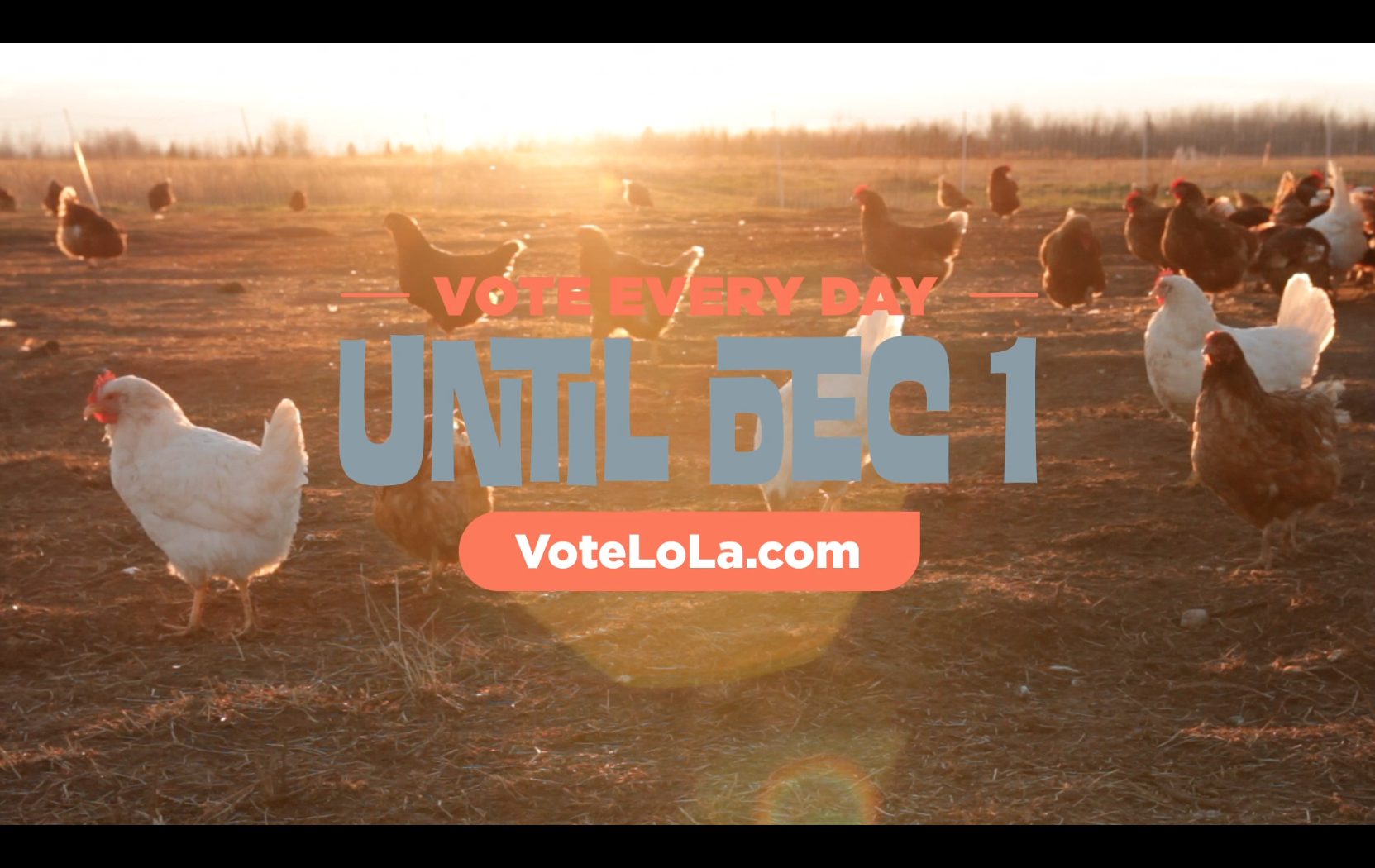 AD-VoteEveryDayScreen-Crop2.png