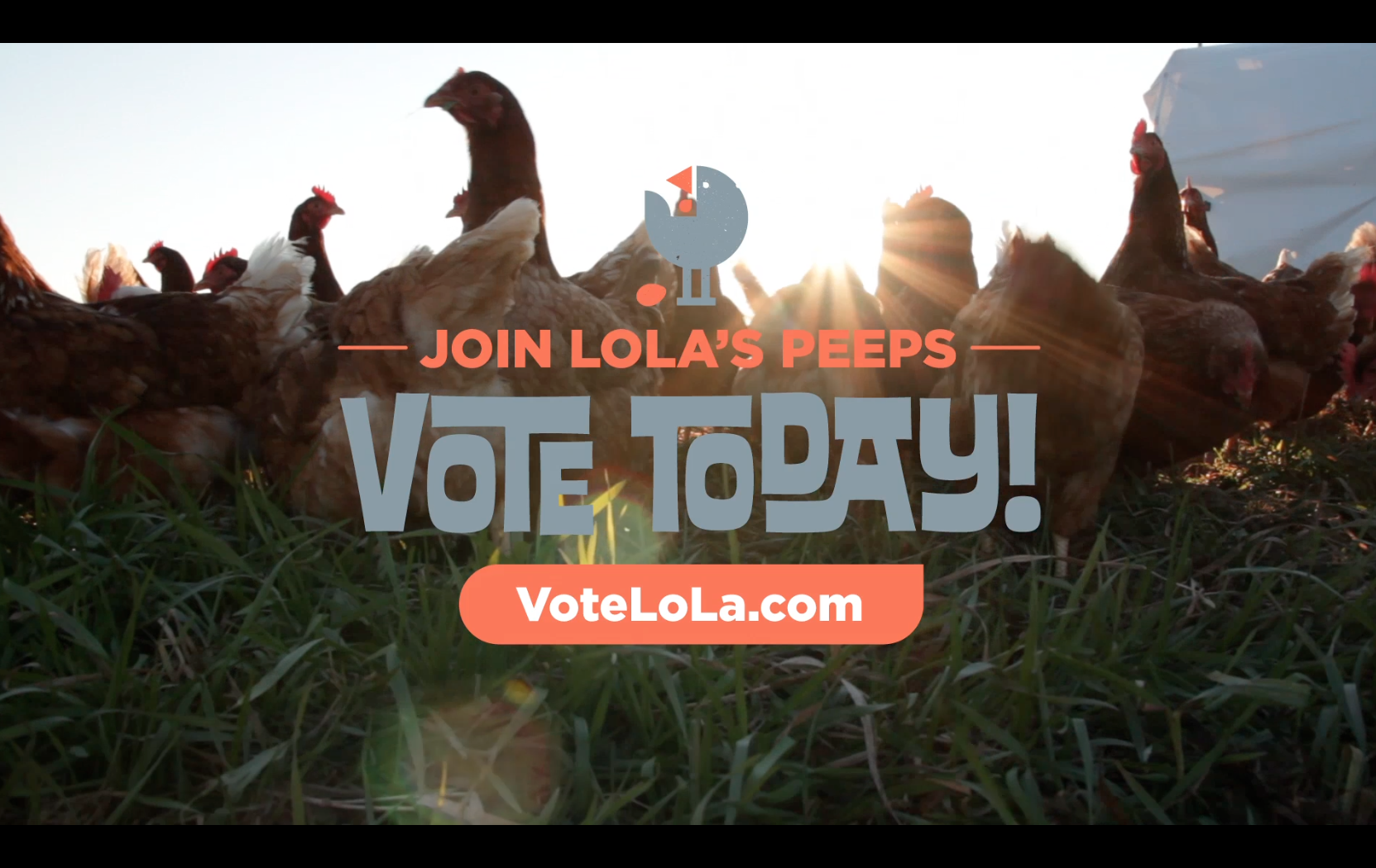 AD-VoteTodayScreen-Crop2.png