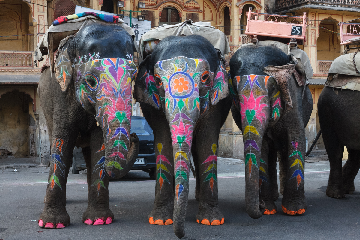 India-32.jpg