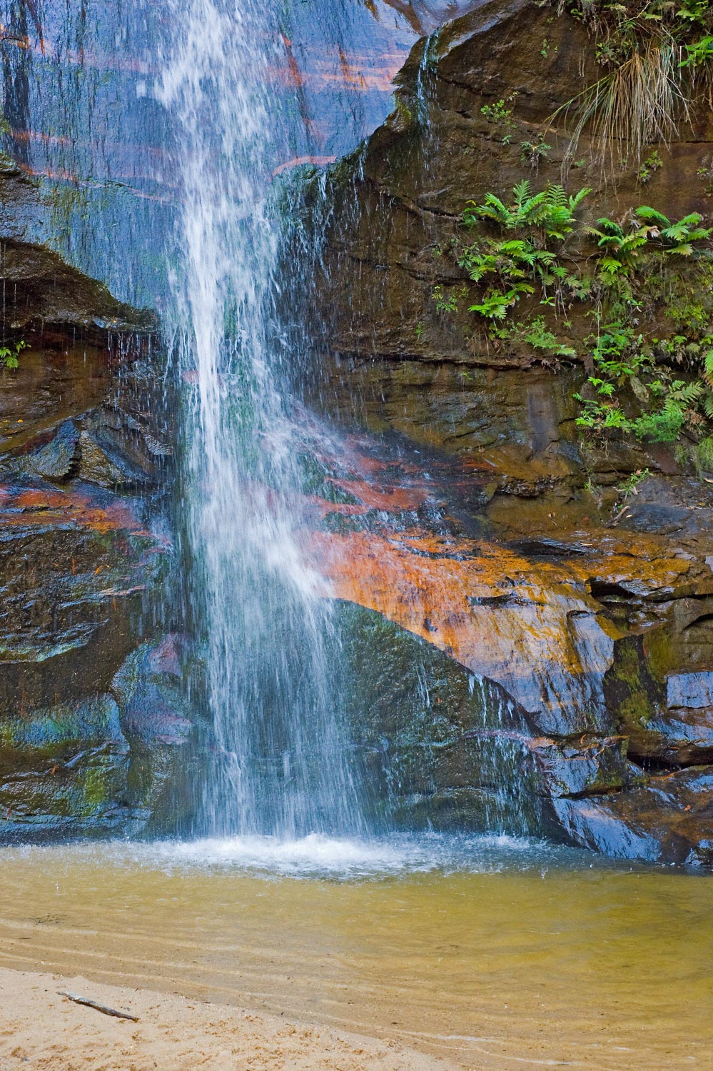 Warren-Hinder-LR-Base-Minni-Ha--Ha-Falls-Katoomba.jpg