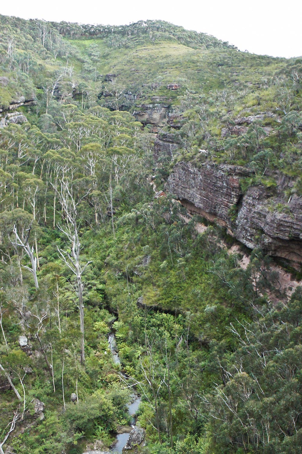 Warren-Hinder-View-North-above-Minni-Ha-Ha-Creek_.jpg