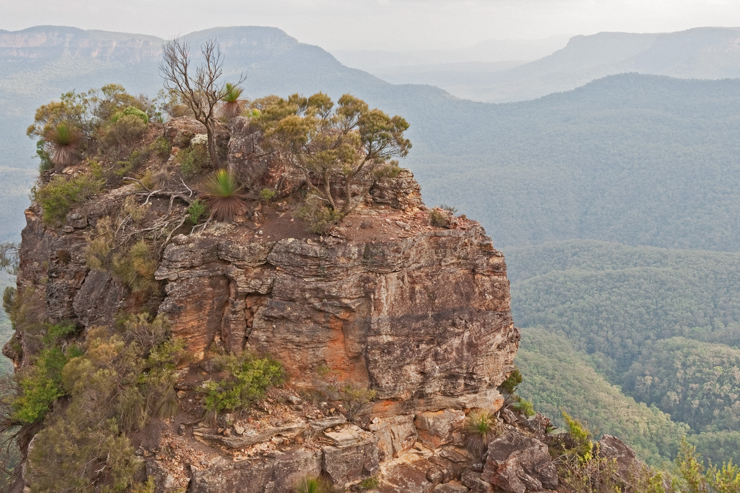 Warren-Hinder-LR-Sister-Number-One-Katoomba.jpg