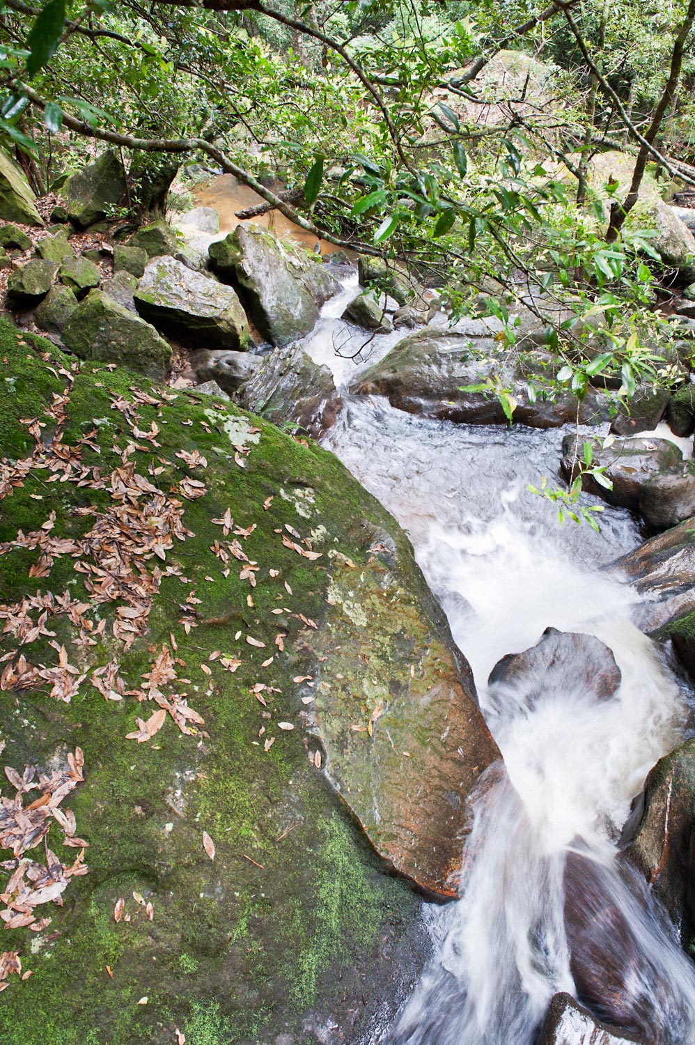 Warren-Hinder-LR-Falls-Federal-Pass-Cooks-Crossing-Base-Katoomba-Falls.jpg