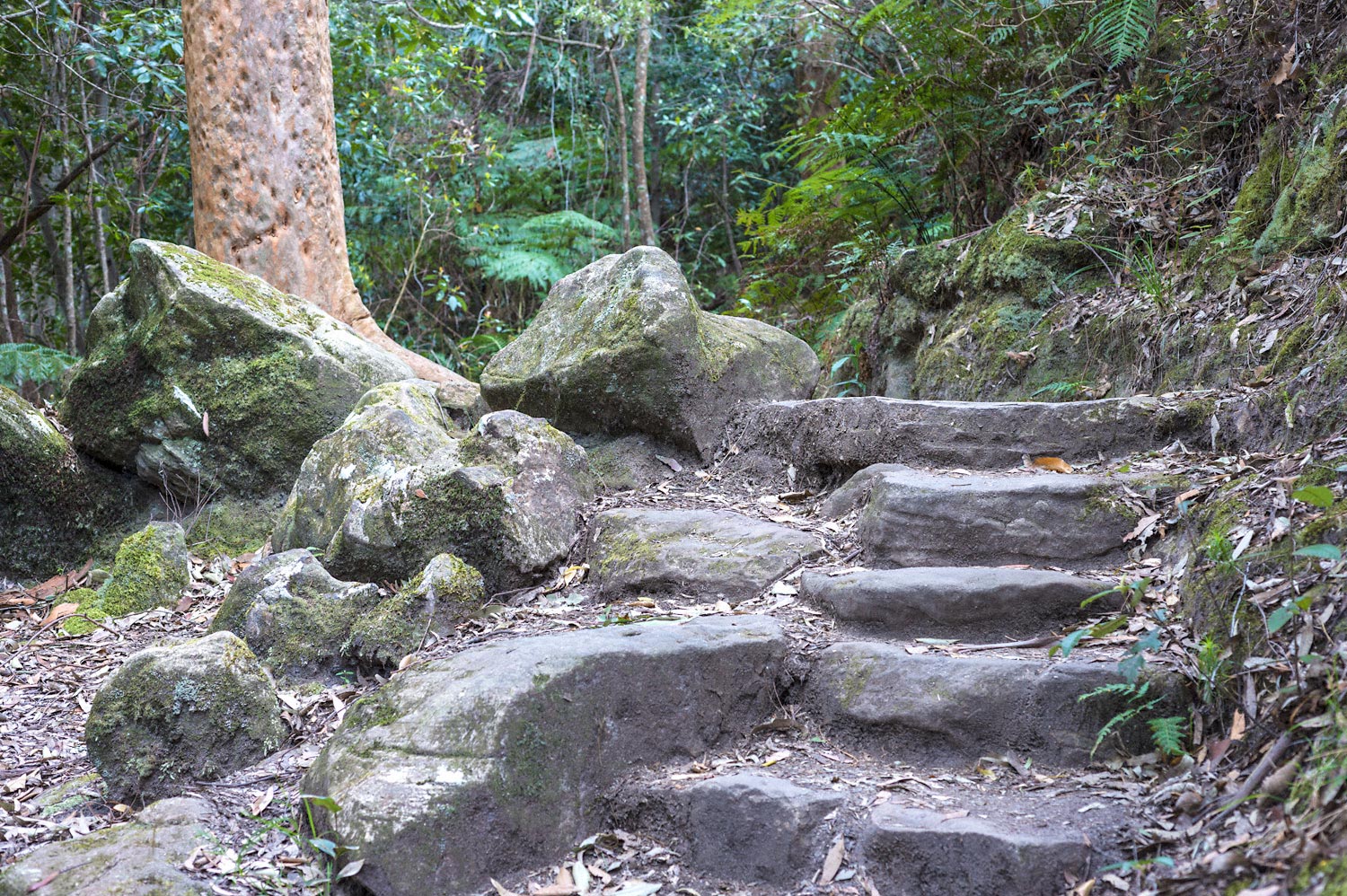 Warren.Hinder.LR-Federal.Pass.sandstone.stairs.jpg