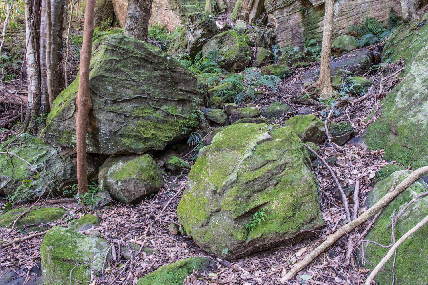 Warren-Hinder-LR-Federal-Pass-Cooks-Crossing-Base-Katoomba-Falls.jpg