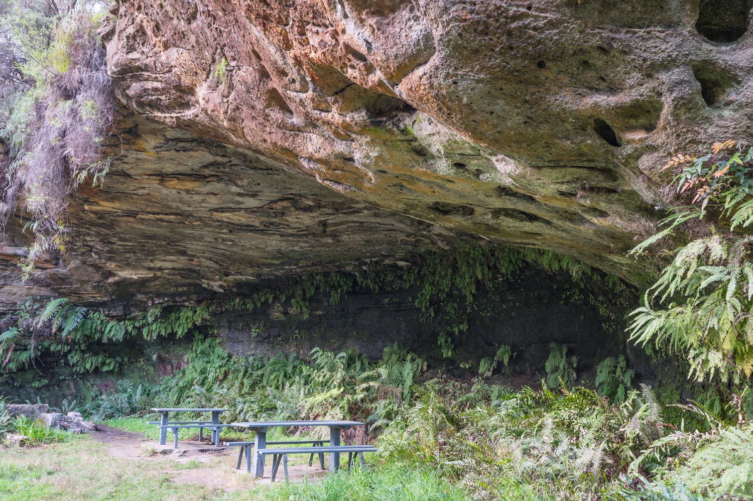 Warren-Hinder-Sandstone-Overhang-Gordon-Falls-Path_.jpg