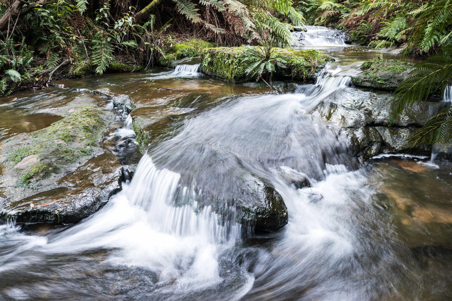 Warren-Hinder-stream-detail-Leura-Cascades.jpg