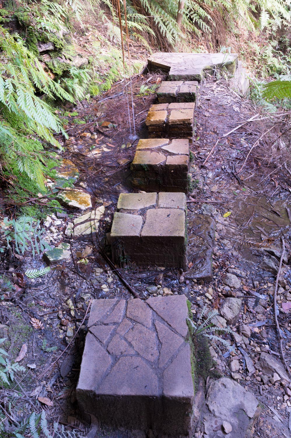 Warren-Hinder-Gordon-Falls-Path-Detail-detail.jpg