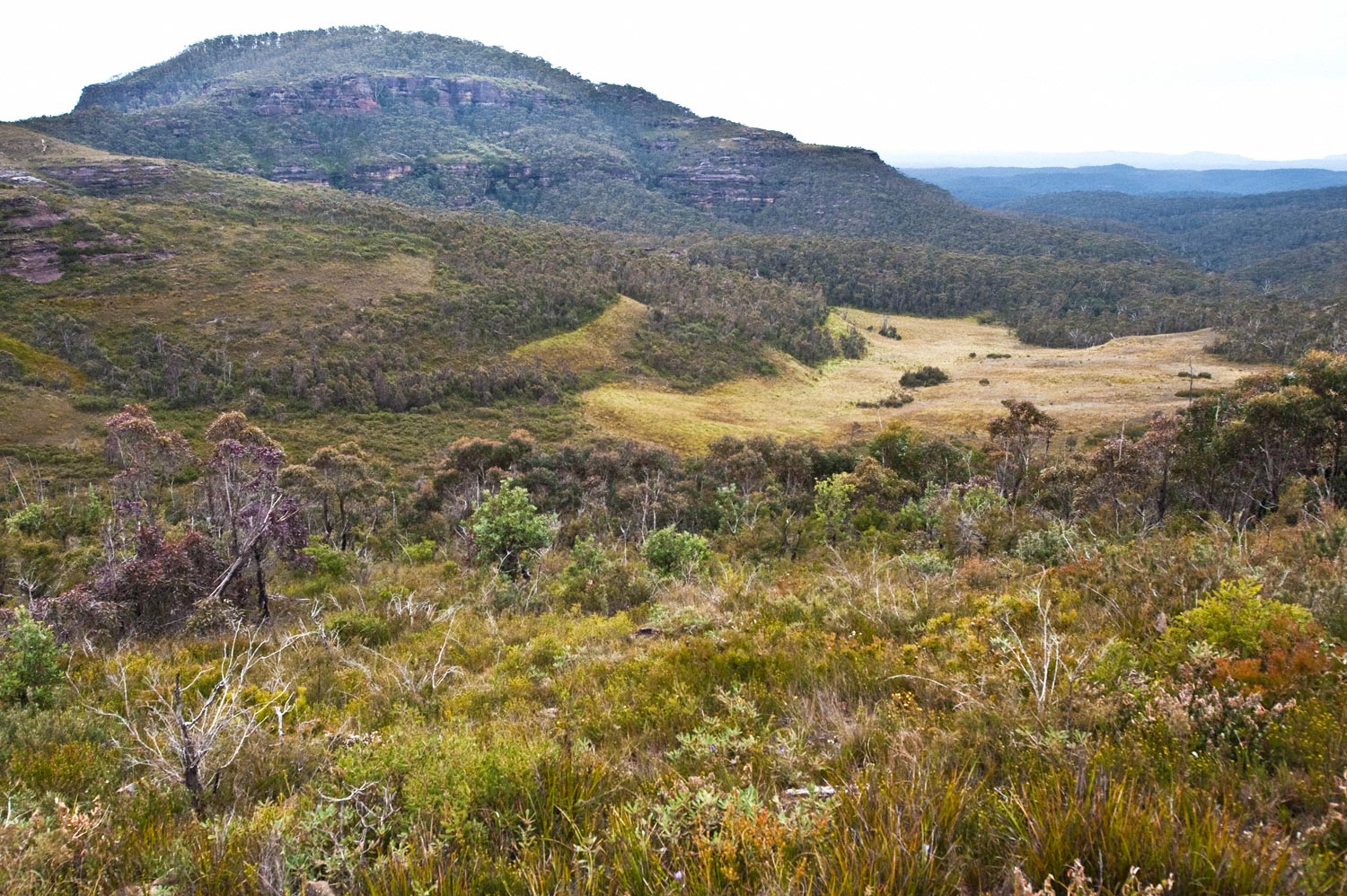 Warren-Hinder-Mt-Hay.jpg