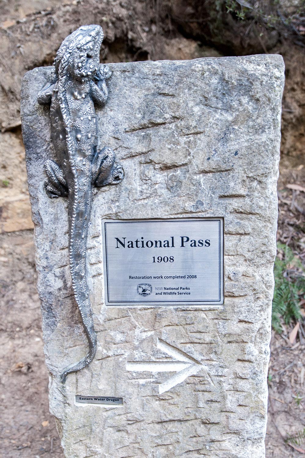 Warren-Hinder-LR-Goanna-Sign-National-Pass.jpg