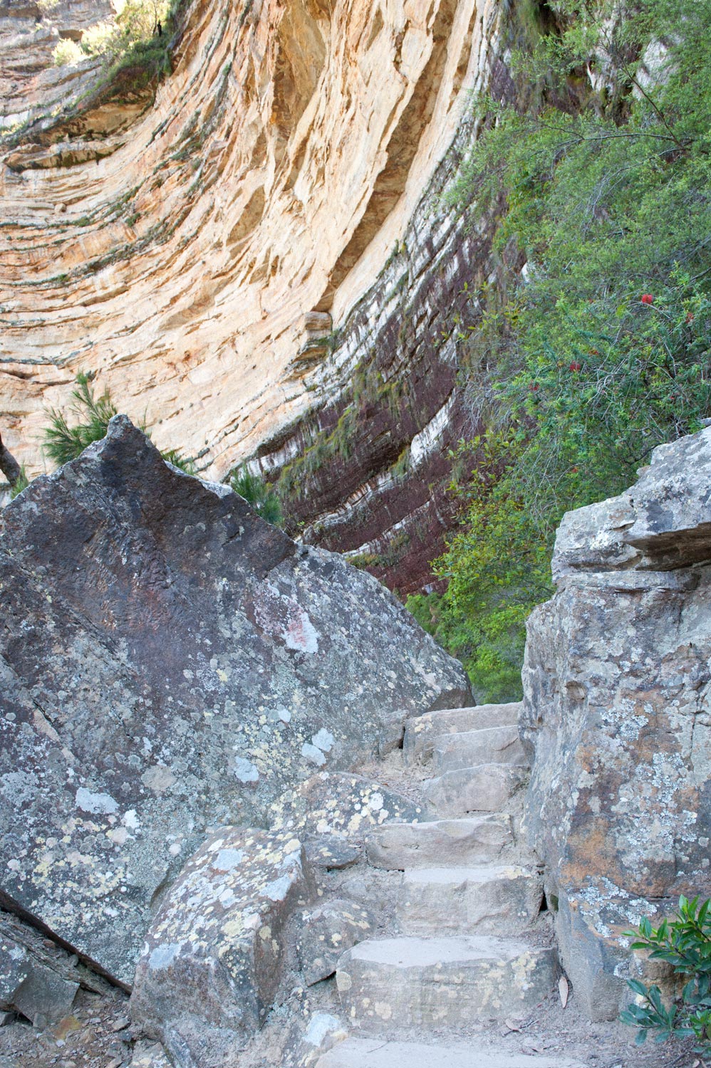 Warren-Hinder-LR-National-Pass-stairs-and-sandstone-wall-PathWentworth-Falls.jpg