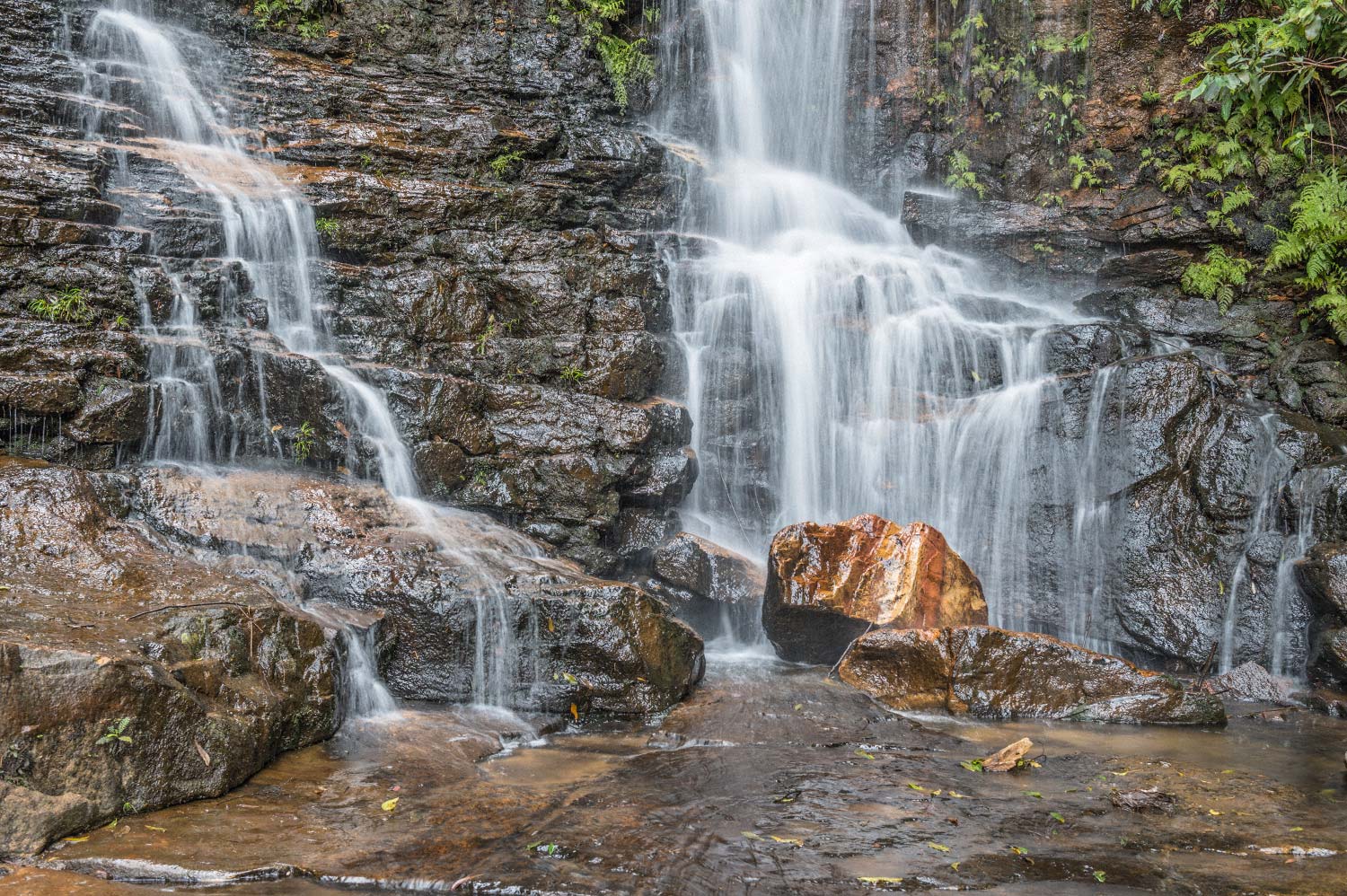 Warren-Hinder-LR-Falls-below-Sylvia-Falls-Wentworth-Falls.jpg