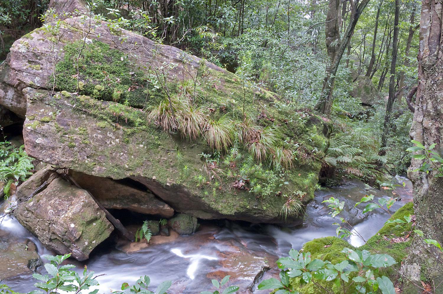 Warren-Hinder-LR-Stream-View-Valley-of-waters-National-pass.jpg