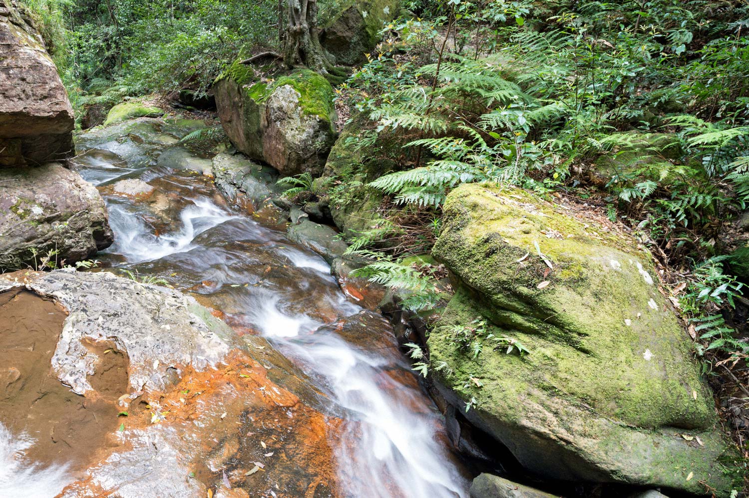 Warren.Hinder-LR-Stream-Valley-of-the-Waters-Wentworth-Falls.jpg