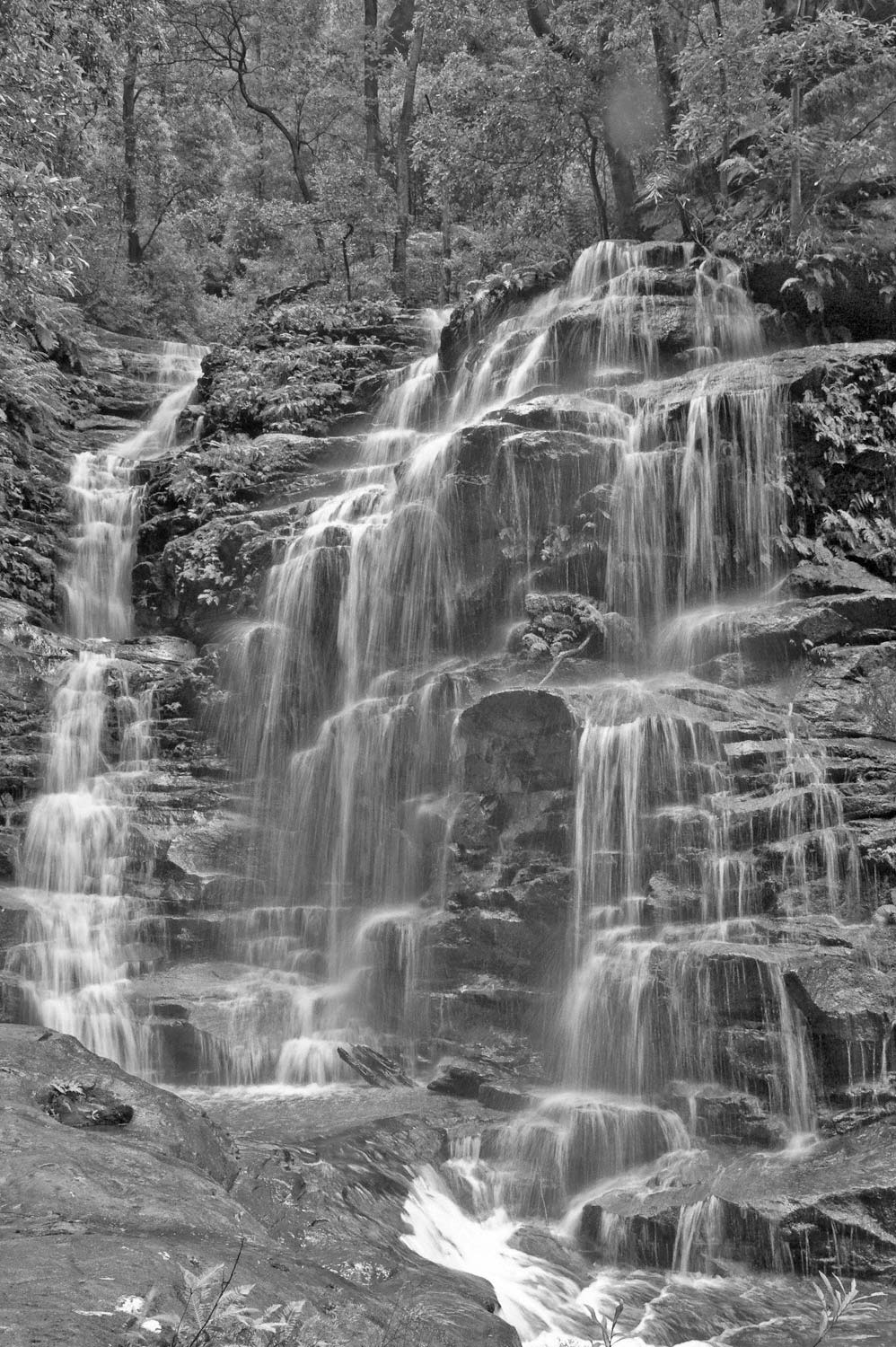 Warren-Hinder-LR-Sylvia-Falls-B&W-Valley-Waters.jpg