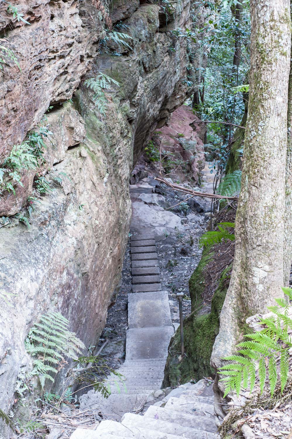 Warren-Hinder-LR-Stairs-down-to-Grand-Canyon-from-Evans.jpg