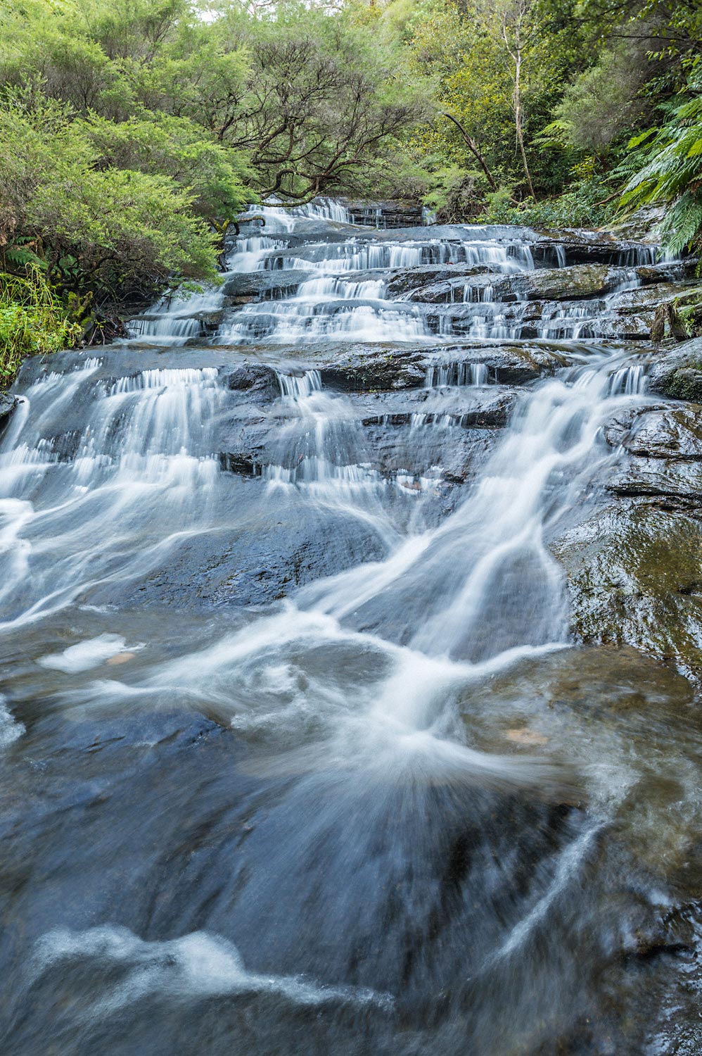 Warren-Hinder-Upper-Cascades-Leura-Cascades.jpg