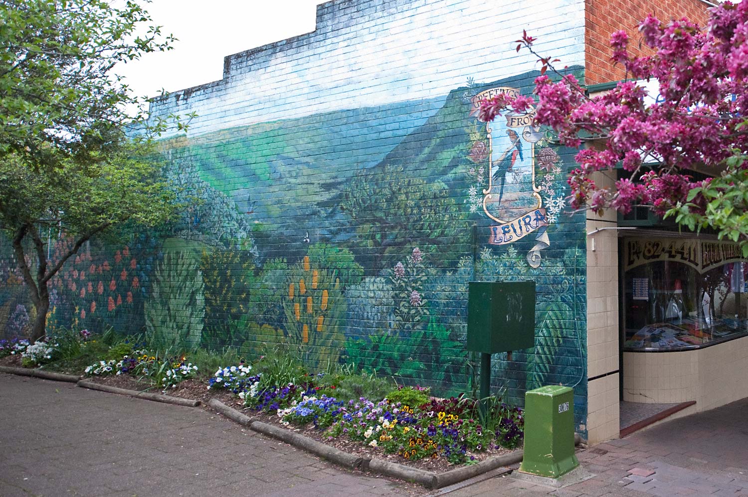 Warren-Hinder-LR-Leura-wall-mural.jpg