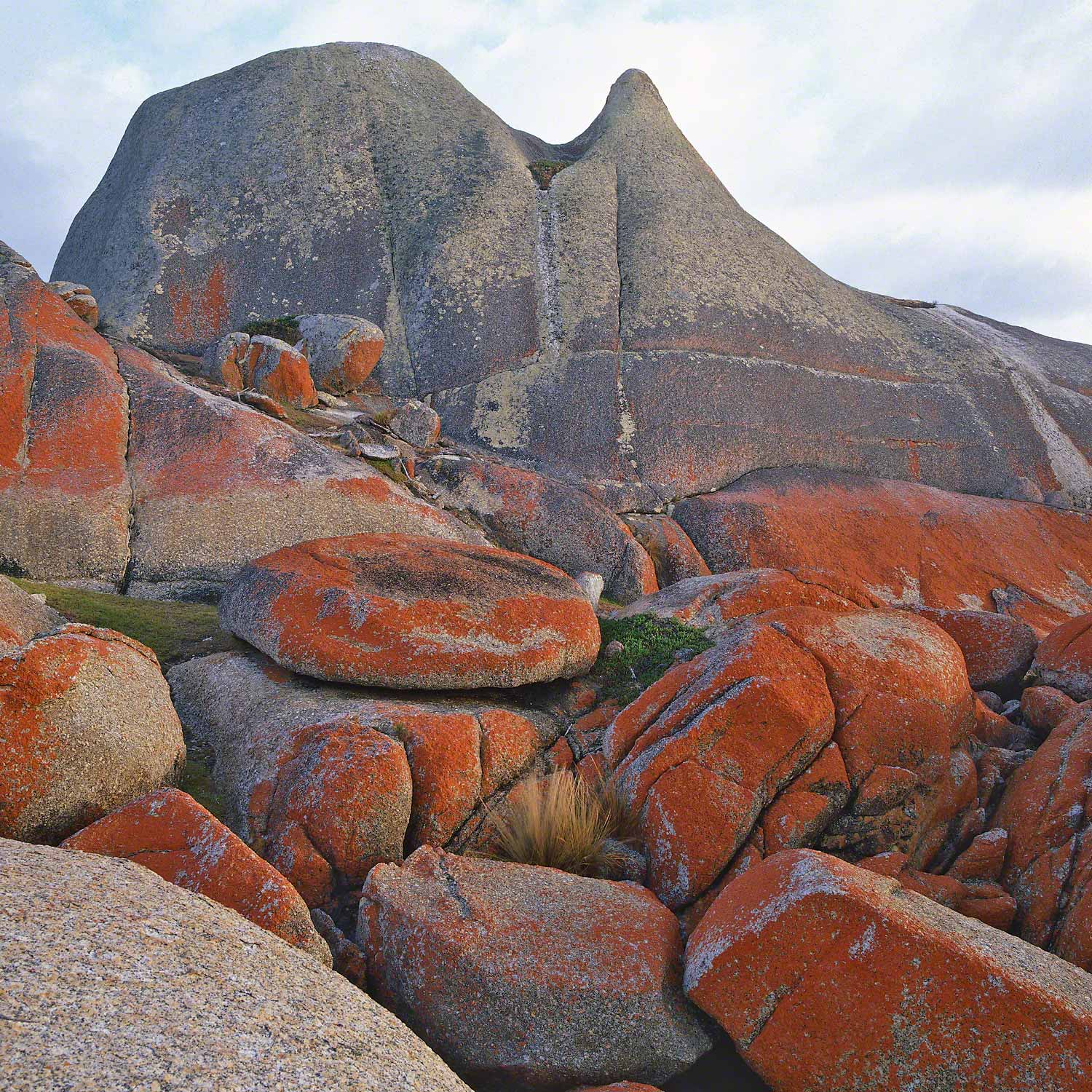 Warren-Hinder-LR-Eddystone-Rocks-East--Coast-Tas.jpg