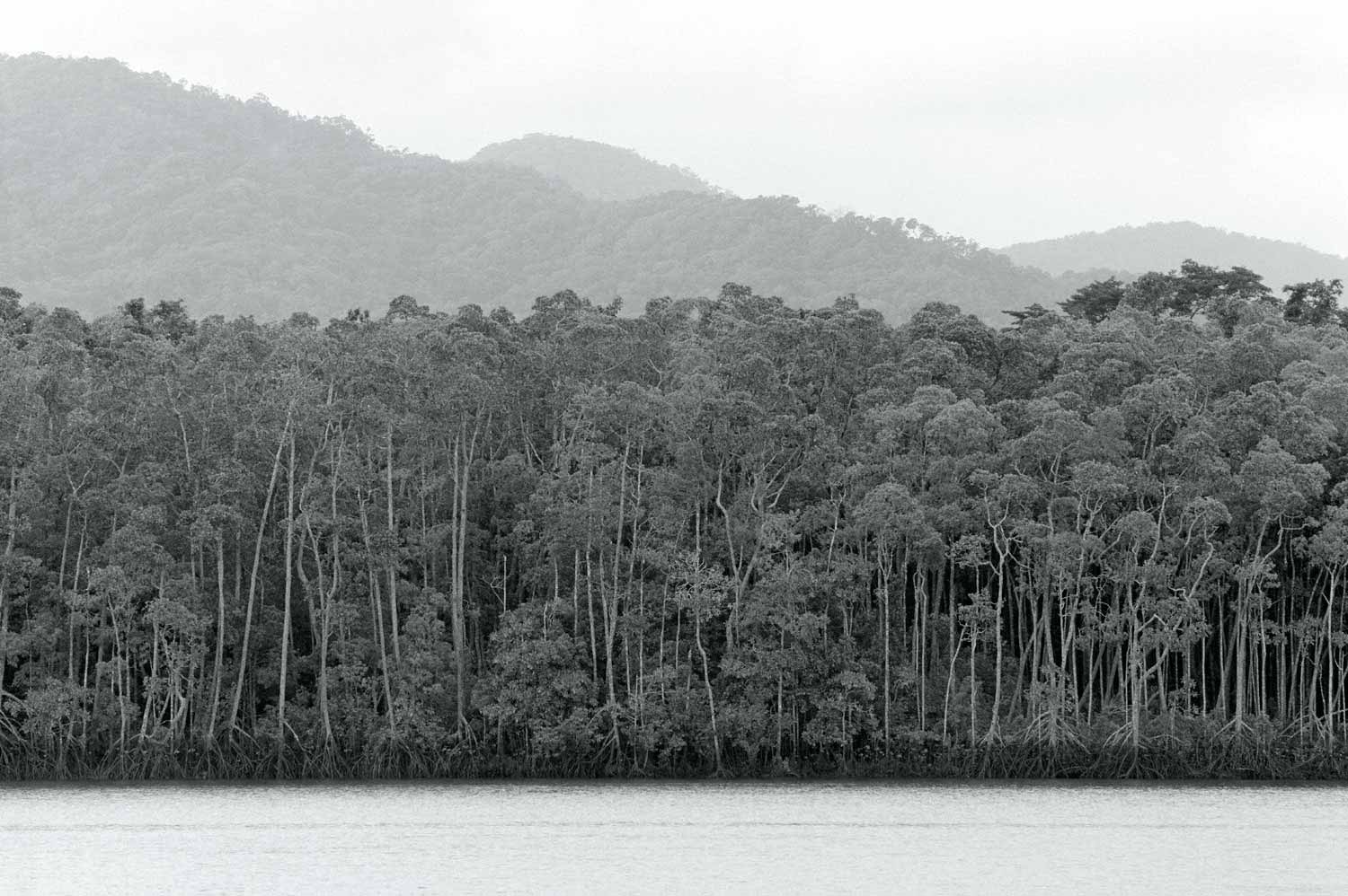 Warren-Hinder-LR-Daintree-North-QLD.jpg