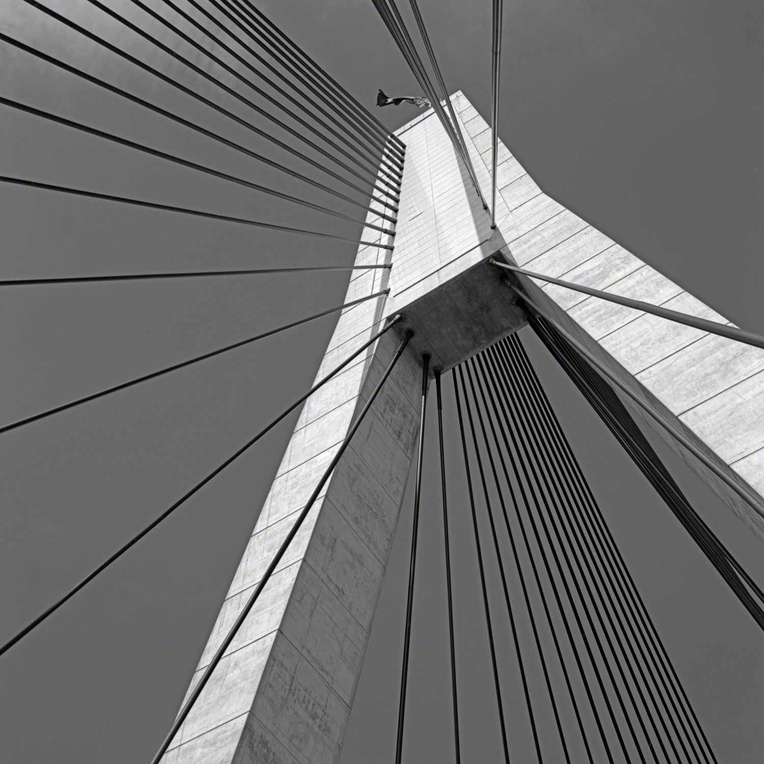 Warren-Hinder-LR-Anzac-Bridge.jpg