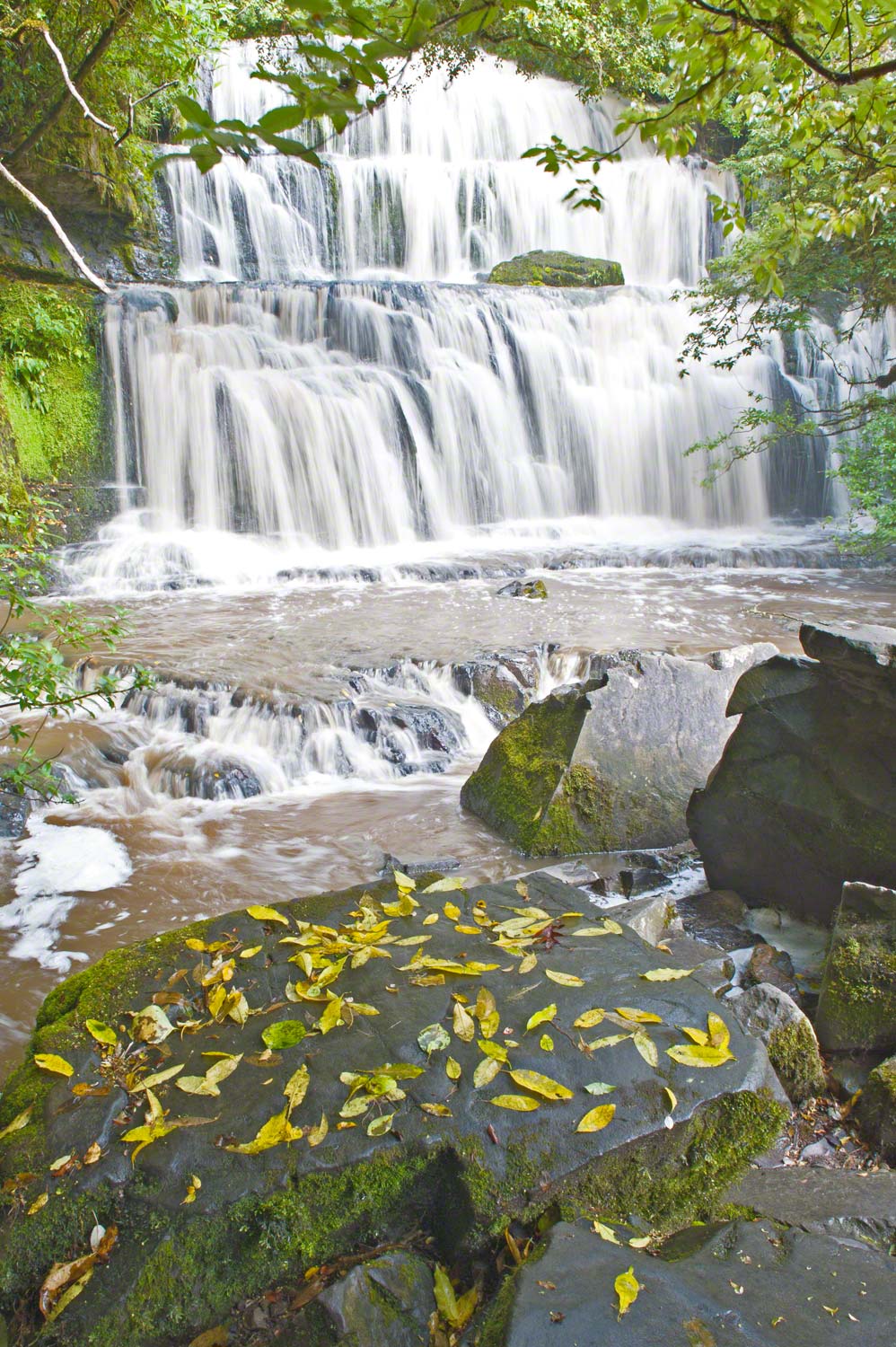 Warren-Hinder-LR-Purakaunui-Falls-catlins.jpg